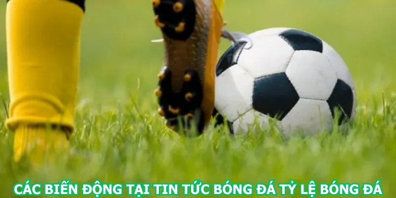 cac-bien-dong-tai-tin-tuc-bong-da-ty-le-bong-da