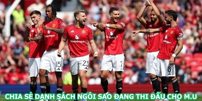 chia-se-danh-sach-ngoi-sao-dang-thi-dau-cho-m-u