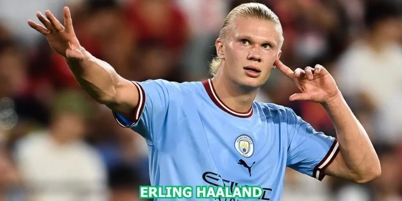 erling-haaland