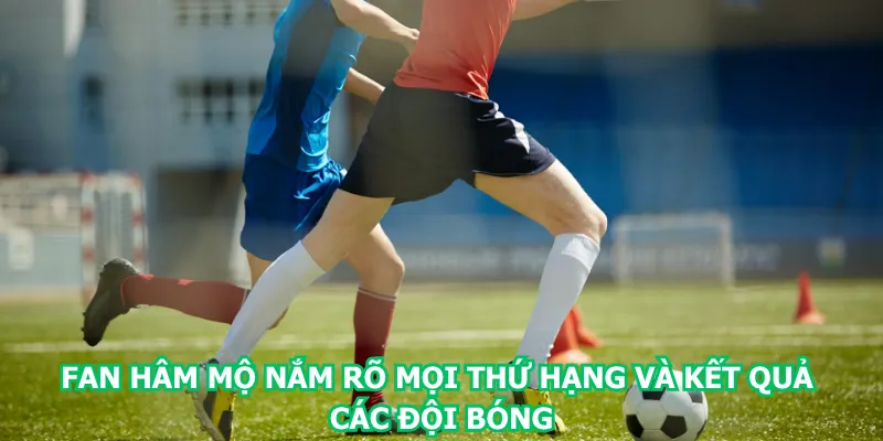 fan-ham-mo-nam-ro-moi-thu-hang-va-ket-qua-cac-doi-bong