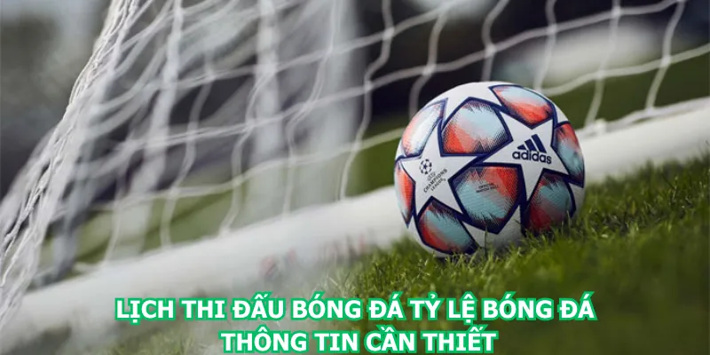 lich-thi-dau-bong-da-ty-le-bong-da-thong-tin-can-thiet