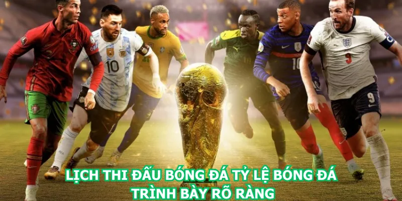 lich-thi-dau-bong-da-ty-le-bong-da-trinh-bay-ro-rang