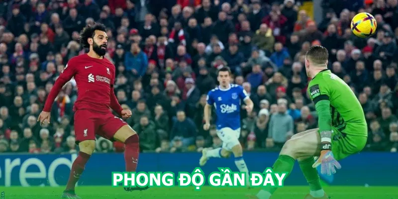 phong-do-gan-day-cua-everton-vs-liverpool
