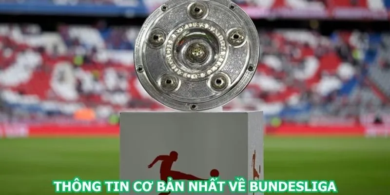 thong-tin-co-ban-nhat-ve-bundesliga