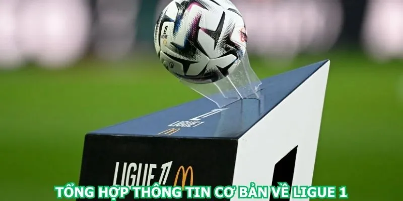 tong-hop-thong-tin-co-ban-ve-ligue-1