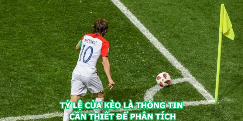 ty-le-cua-keo-la-thong-tin-can-thiet-de-phan-tich