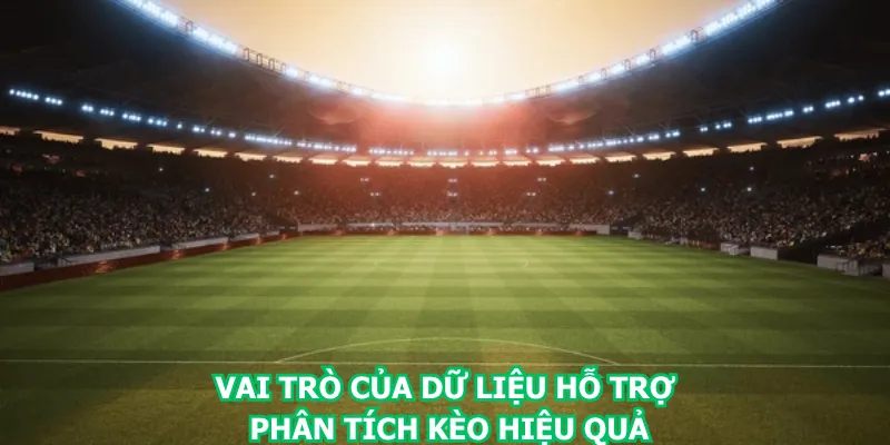 vai-tro-cua-du-lieu-ho-tro-phan-tich-keo-hieu-qua